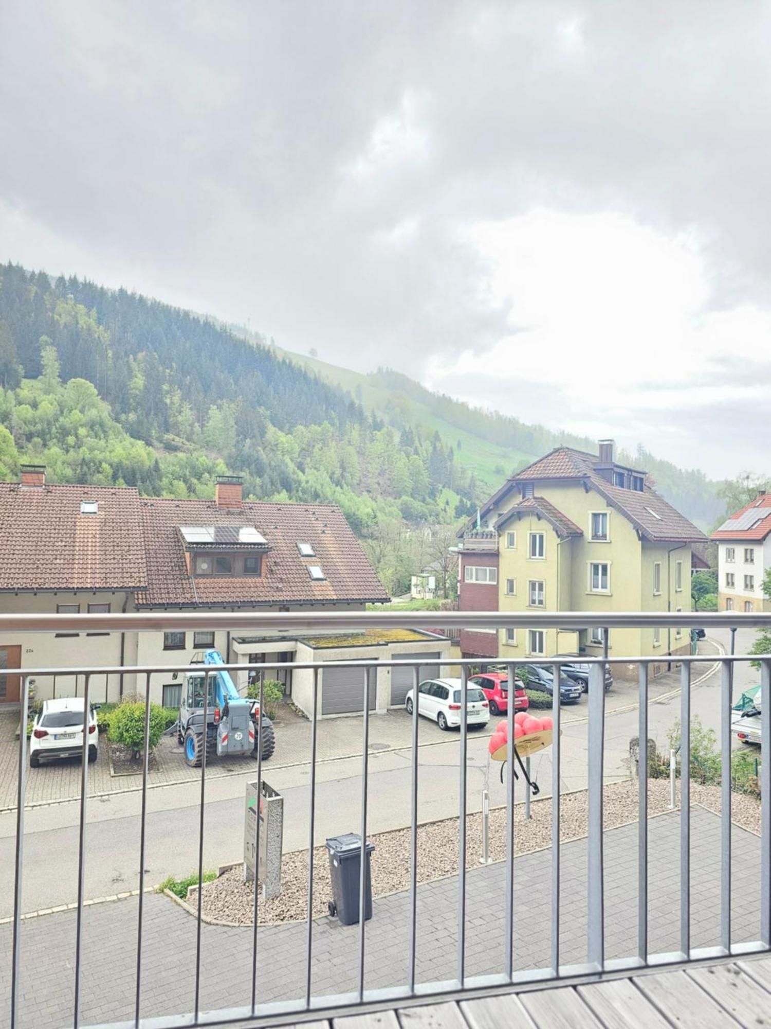 Black Forest I Sauna Auf Dem Balkon I Boxspring I Nespresso I Ausblick I Wasserfaelle Im Ort Todtnau Ngoại thất bức ảnh